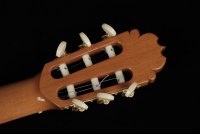 Alhambra Luthier Anniversario