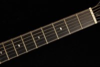 Beauregard Archtop 16