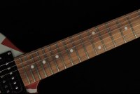 EVH Striped Series Shark