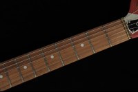 EVH Striped Series Shark