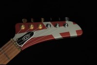 EVH Striped Series Shark