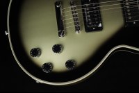 Epiphone Adam Jones Les Paul Custom Art Collection Julie Heffernan's 