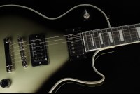 Epiphone Adam Jones Les Paul Custom Art Collection Julie Heffernan's 