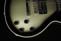 Epiphone Adam Jones Les Paul Custom Art Collection Julie Heffernan's 