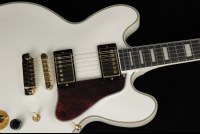 Epiphone B.B. King Lucille Limited Edition - BW