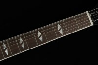Epiphone Dave Grohl DG-335