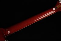 Epiphone Slash Les Paul Standard - AP