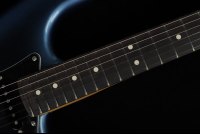 Fender American Professional II Stratocaster - RW DKN