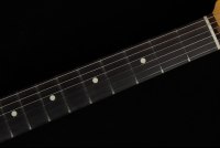 Fender American Professional II Stratocaster - RW DKN