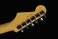 Fender American Professional II Stratocaster - RW DKN