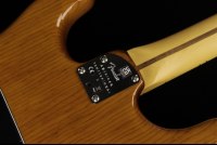 Fender American Professional II Stratocaster - MN RPN