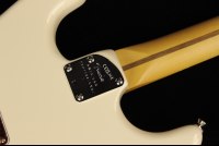 Fender American Professional II Stratocaster - RW OWT