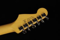 Fender American Professional II Stratocaster - RW OWT