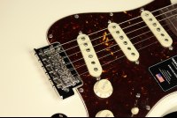 Fender American Professional II Stratocaster - RW OWT
