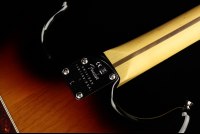 Fender American Professional II Stratocaster - RW 3CS
