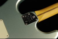 Fender American Professional II Stratocaster - RW MSG