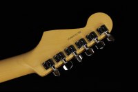 Fender American Professional II Stratocaster - RW DKN