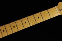 Fender American Professional II Stratocaster - MN DKN