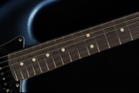 Fender American Professional II Stratocaster - RW DKN