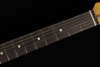 Fender American Professional II Stratocaster - RW DKN