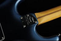 Fender American Professional II Stratocaster - RW DKN