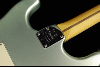Fender American Professional II Stratocaster - RW MSG
