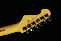 Fender American Professional II Stratocaster - RW MSG