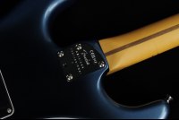 Fender American Professional II Stratocaster - MN DKN