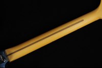 Fender American Professional II Stratocaster - MN DKN