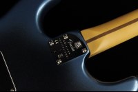 Fender American Professional II Stratocaster - RW DKN