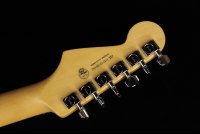 Fender American Professional II Stratocaster - RW DKN