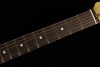 Fender American Professional II Stratocaster - RW 3CS