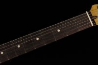 Fender American Professional II Stratocaster - RW OW