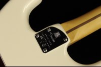 Fender American Professional II Stratocaster - RW OW