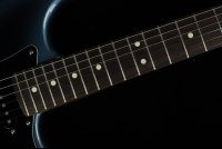Fender American Professional II Stratocaster - RW DKN