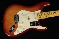 Fender American Professional II Stratocaster - MN SSB