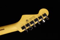 Fender American Professional II Stratocaster - RW MSG