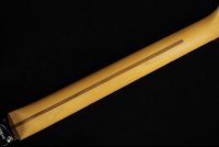 Fender American Professional II Stratocaster - MN BK