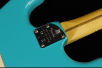 Fender American Professional II Stratocaster - MN MBL