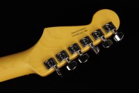 Fender American Professional II Stratocaster HSS - RW OWT