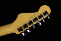 Fender American Professional II Stratocaster HSS - RW DKN