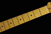 Fender American Professional II Stratocaster HSS - MN RPN