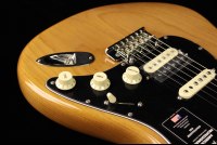 Fender American Professional II Stratocaster HSS - MN RPN