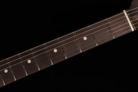 Fender American Professional II Stratocaster Rosewood Neck Limited Edition - LPB