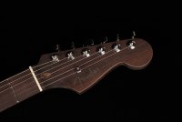 Fender American Professional II Stratocaster Rosewood Neck Limited Edition - LPB