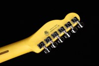 Fender American Professional II Telecaster - RW OWT