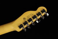 Fender American Professional II Telecaster - RW MSG