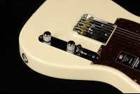 Fender American Professional II Telecaster - RW OWT