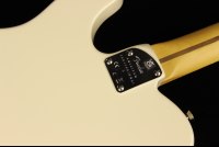 Fender American Professional II Telecaster - RW OWT