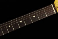 Fender American Professional II Telecaster - RW DKN